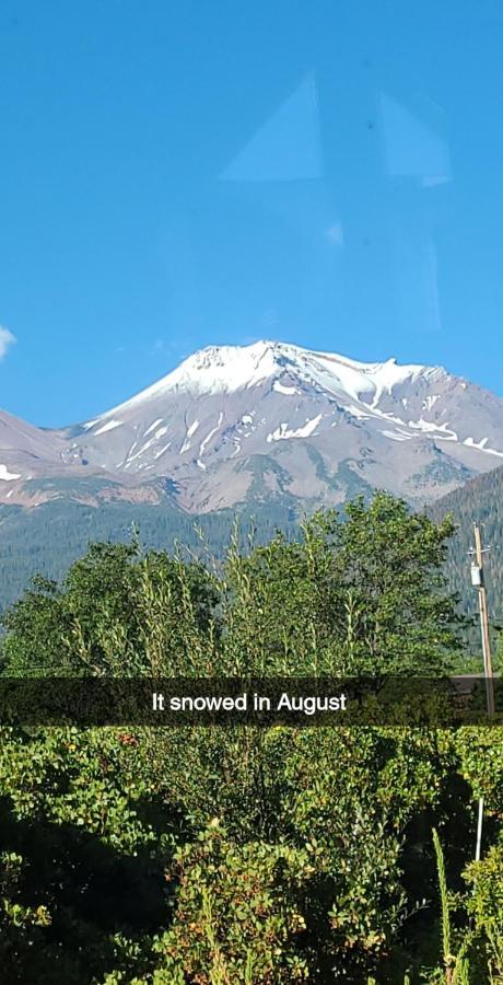 Angel Cottage With A Sauna Or The Cozy With A Jacuzzi Tub, Both Are Studios With A View Of Mount Shasta Exterior photo