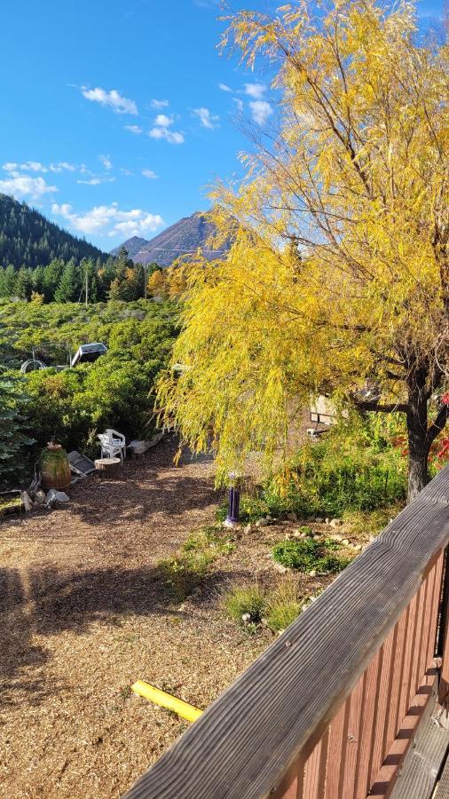 Angel Cottage With A Sauna Or The Cozy With A Jacuzzi Tub, Both Are Studios With A View Of Mount Shasta Exterior photo
