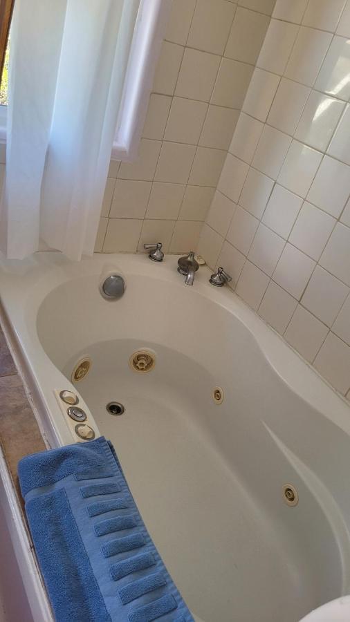 Angel Cottage With A Sauna Or The Cozy With A Jacuzzi Tub, Both Are Studios With A View Of Mount Shasta Exterior photo