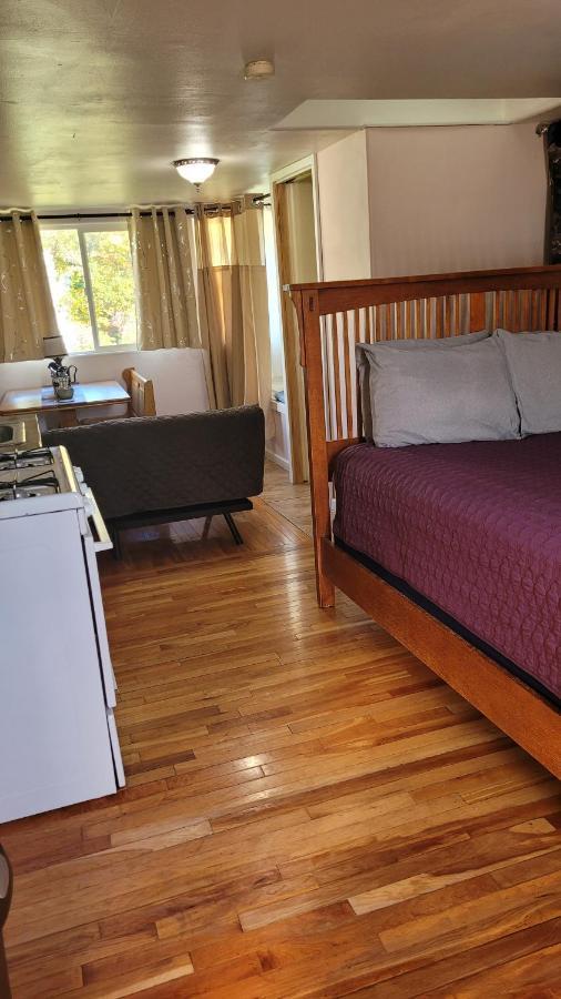 Angel Cottage With A Sauna Or The Cozy With A Jacuzzi Tub, Both Are Studios With A View Of Mount Shasta Exterior photo